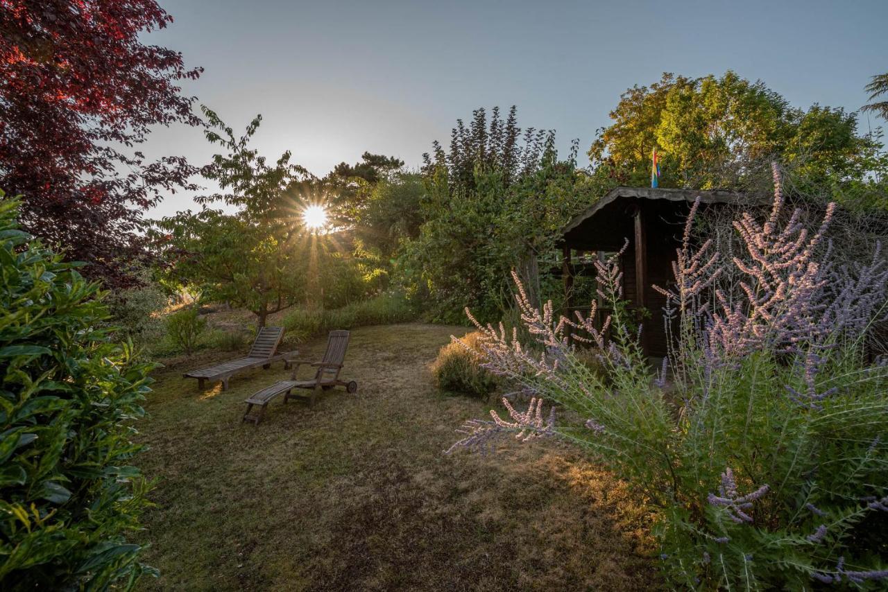 Ferienhaus Bis 10 Personen Und 2,5 Schlafzimmern Geisenheim Buitenkant foto