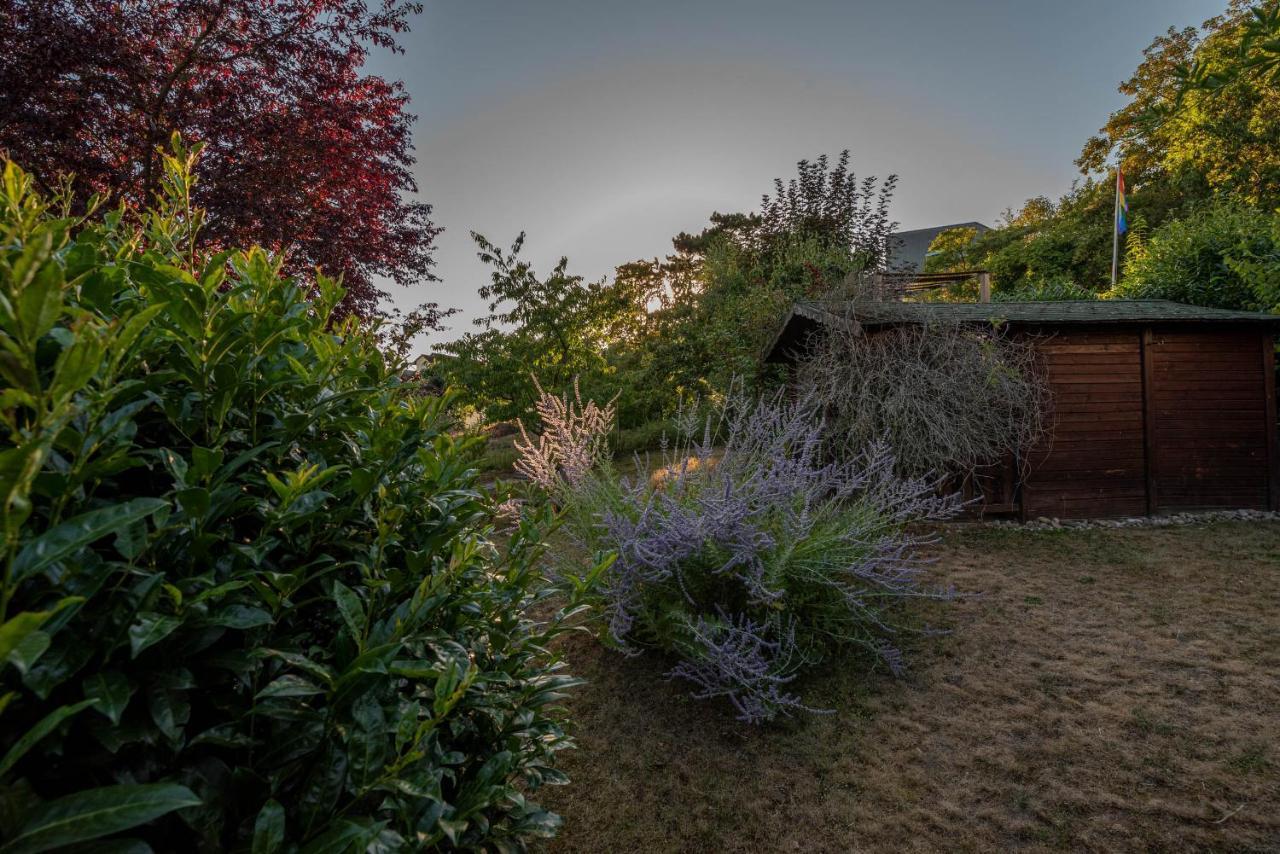 Ferienhaus Bis 10 Personen Und 2,5 Schlafzimmern Geisenheim Buitenkant foto
