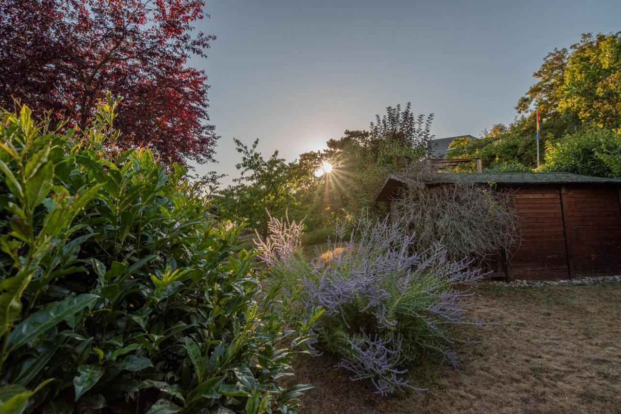 Ferienhaus Bis 10 Personen Und 2,5 Schlafzimmern Geisenheim Buitenkant foto